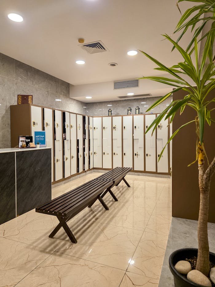 A spacious, modern gym locker room featuring lockers, a bench, and decor plant, perfect for fitness and wellness imagery.